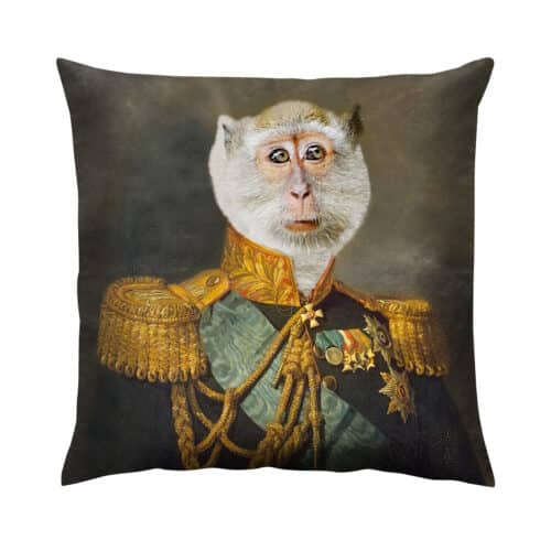 quirky cushion