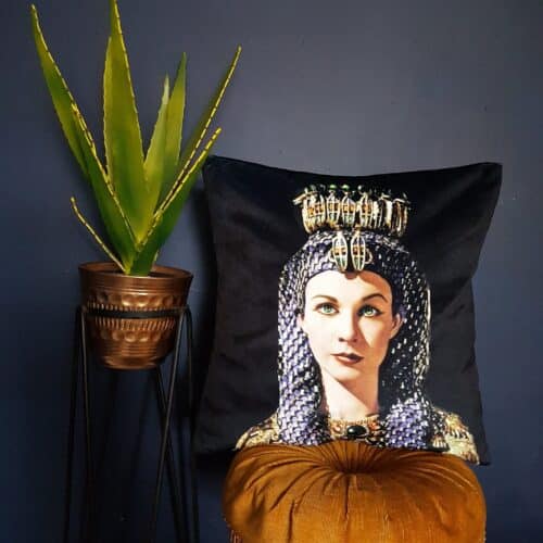 quirky cushion