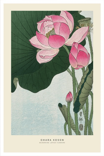 Koson Lotus Flower