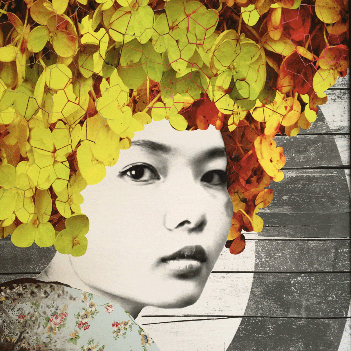 Yellow Crush - Image 3